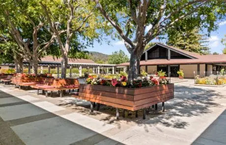 About The Sequoias Portola Valley
