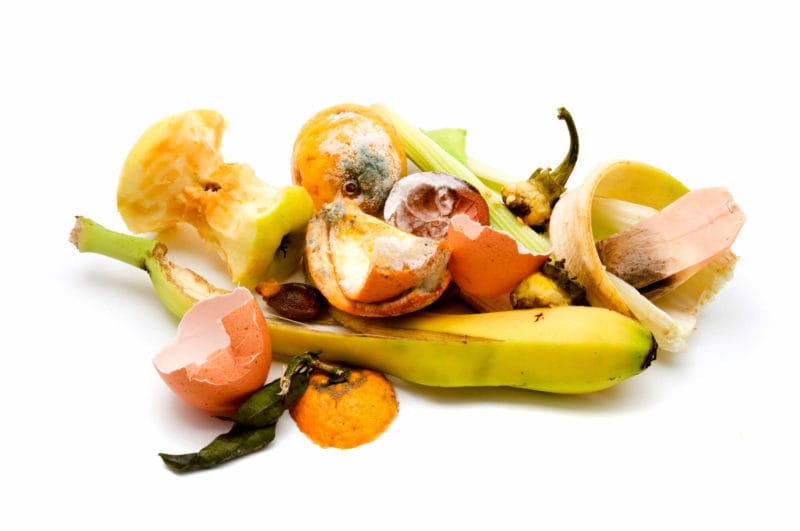 What's In Your Kitchen Trash? Image shows trash, orange peels, banana peels, egg shells.