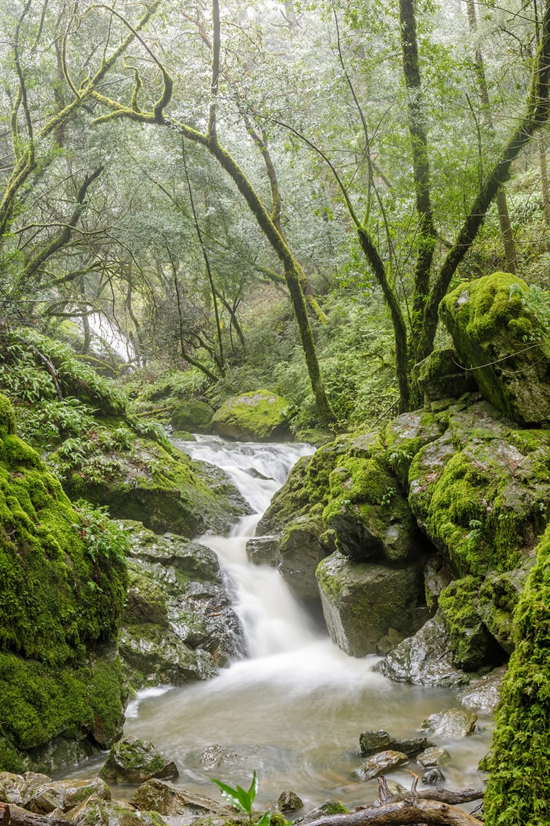 Cataract Falls | activities | Sequoia Living