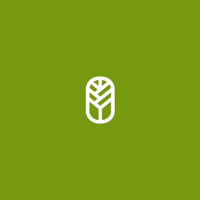 White Sequoia Logo on a green background