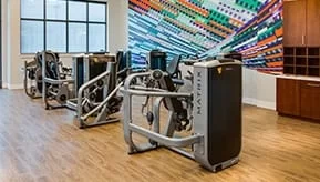 gym with grey gym equipment and multicolored artwork on wall.