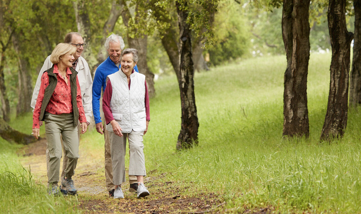 14 K2A7893 Four people walking through the woods