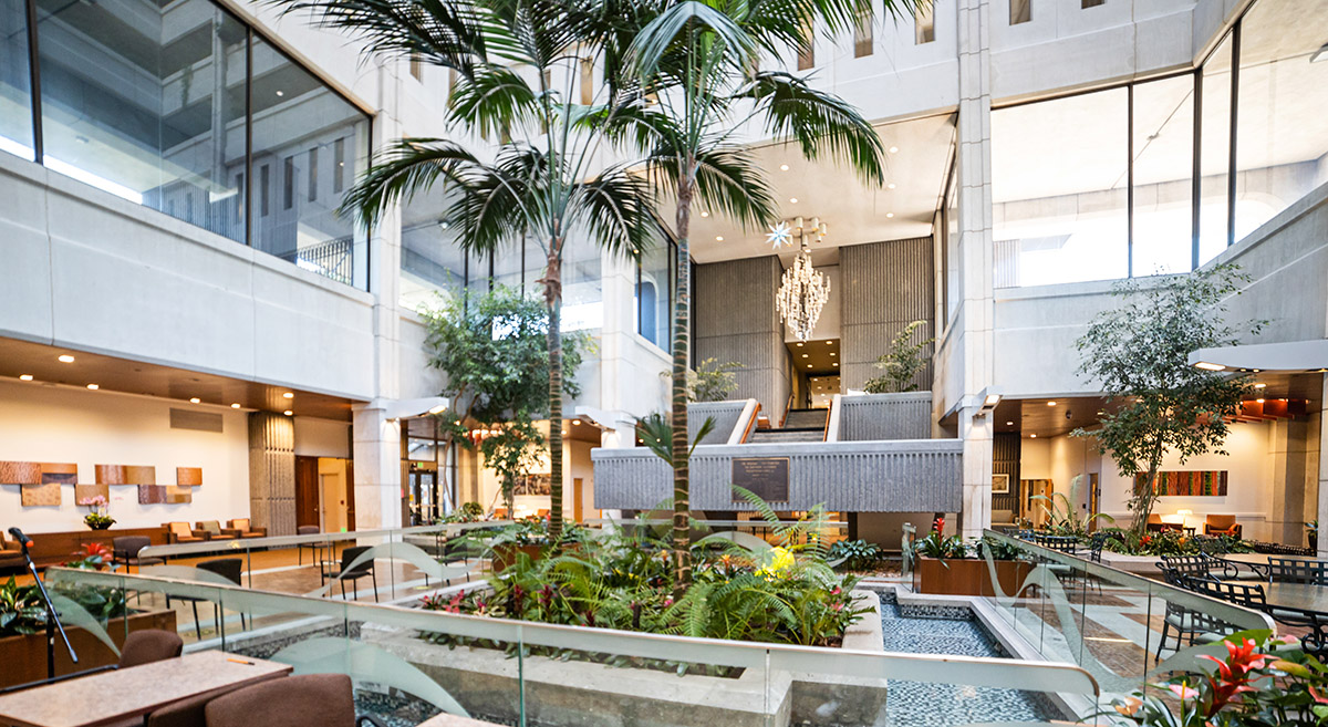 SanFranciscoSequoias atrium